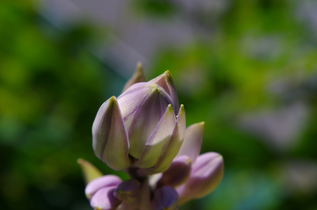 IMGP1593
