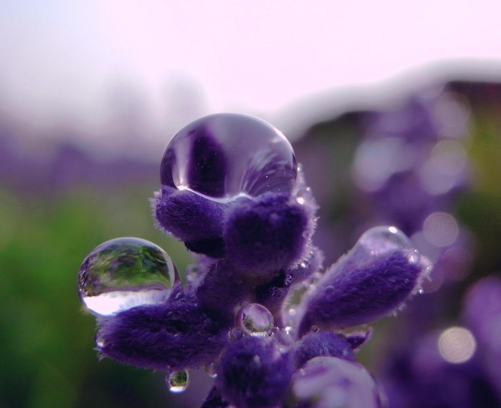 水晶玉