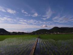 田園と雲