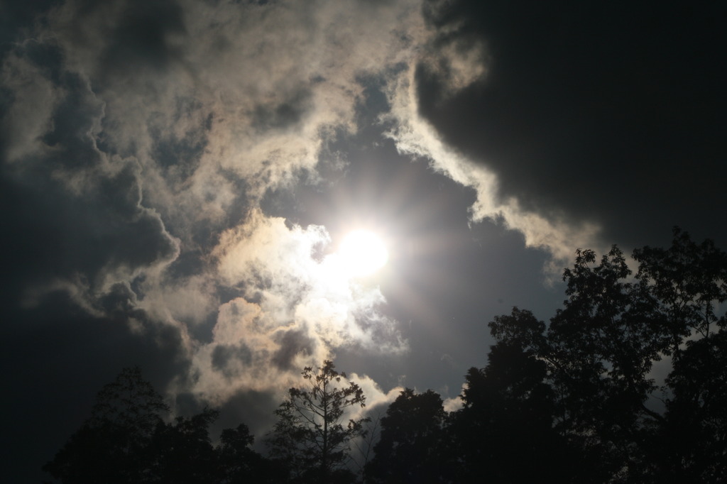 太陽