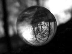 モノクロの球体
