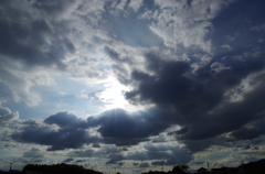 IMGP0230