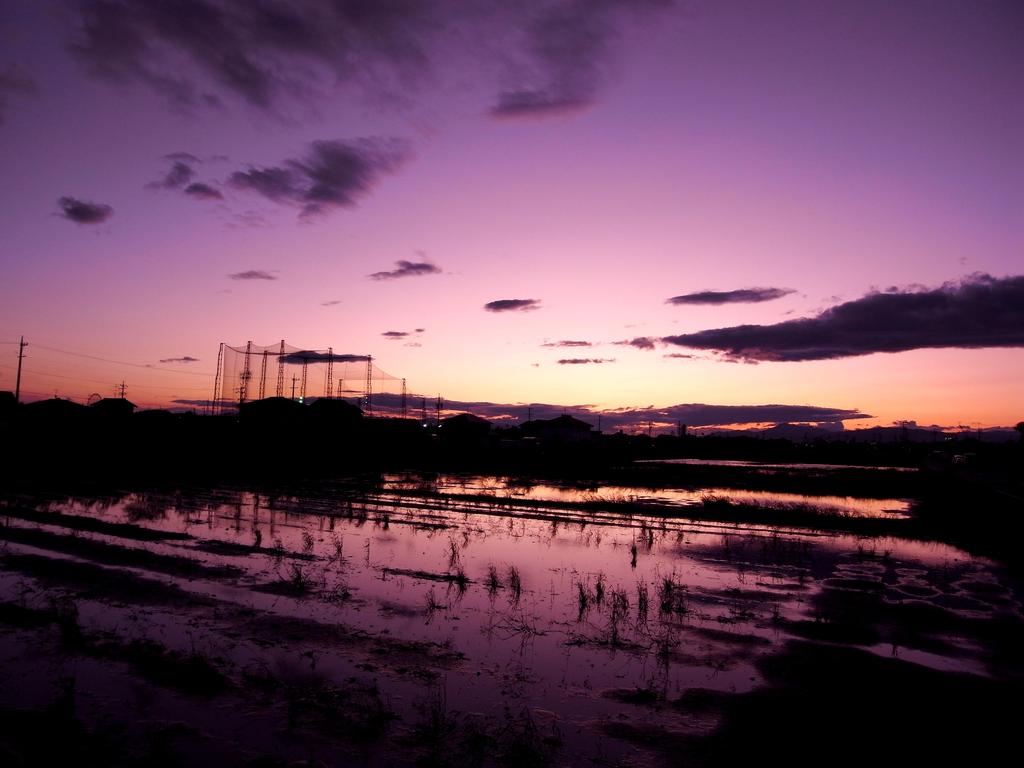 夕焼け