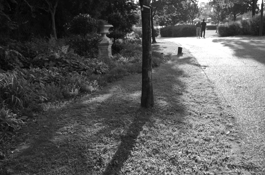 IMGP0606