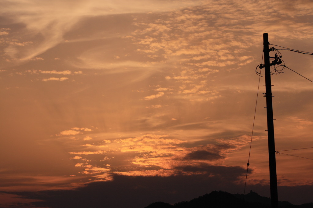 電柱に夕日