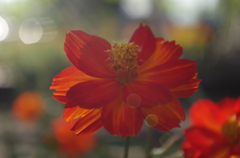IMGP0258