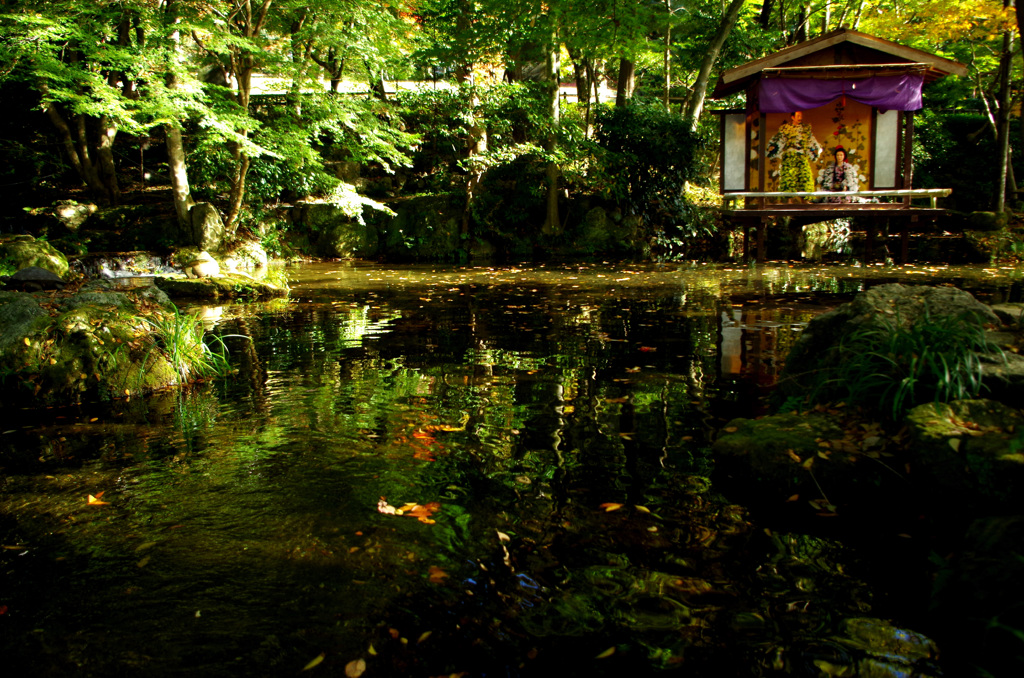 IMGP0833