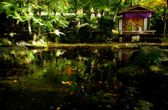 IMGP0833