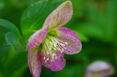 IMGP0726