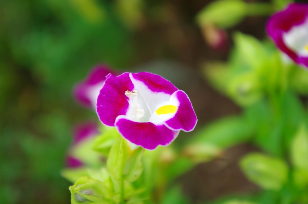 IMGP2151