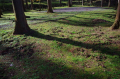 IMGP0812