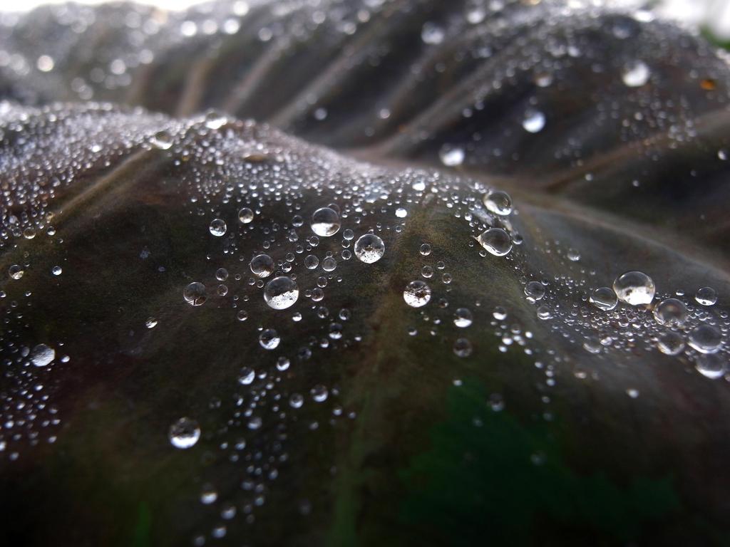 水滴