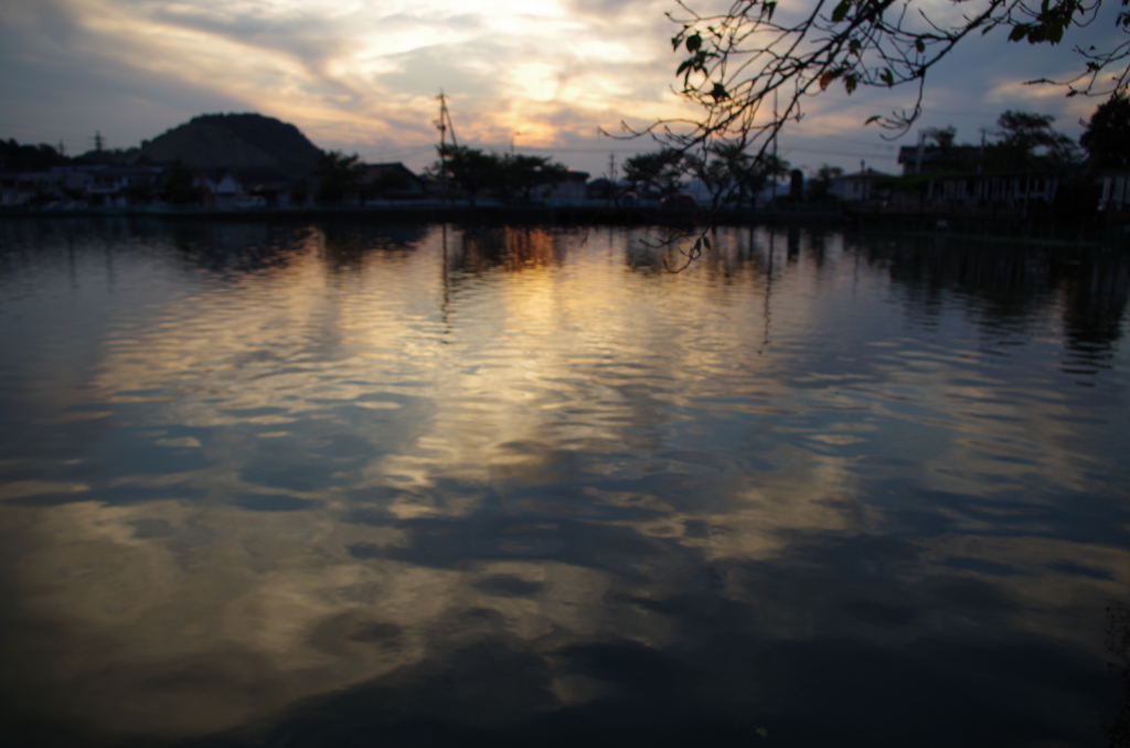 IMGP0238