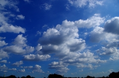 IMGP0184