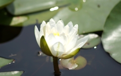 DSC01027