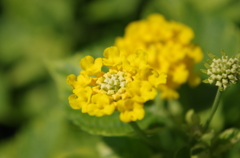 IMGP0369