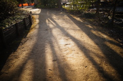 DSC01313