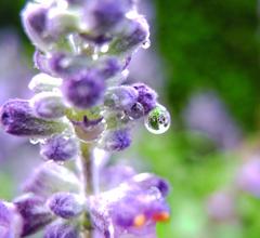 落ちそう・・・