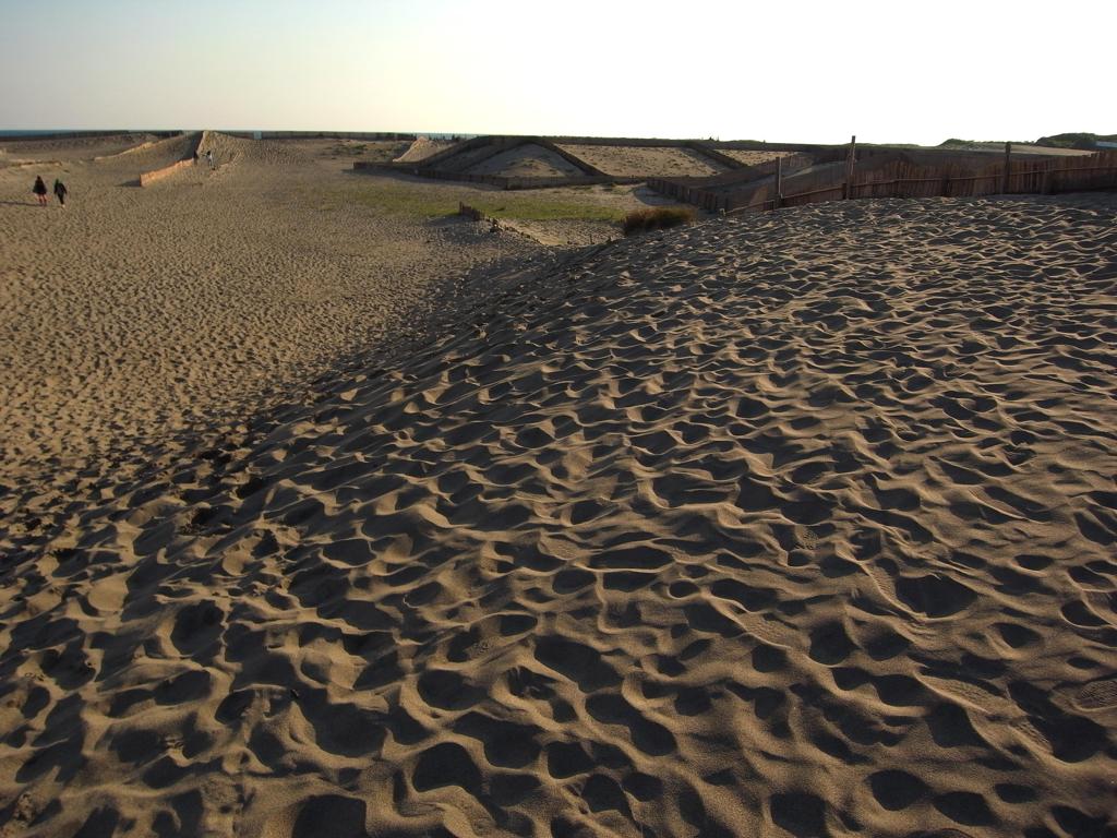 たくさんの足跡