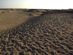 たくさんの足跡