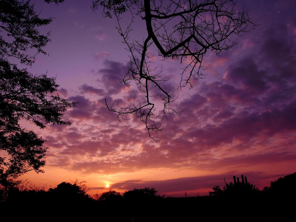 夕日