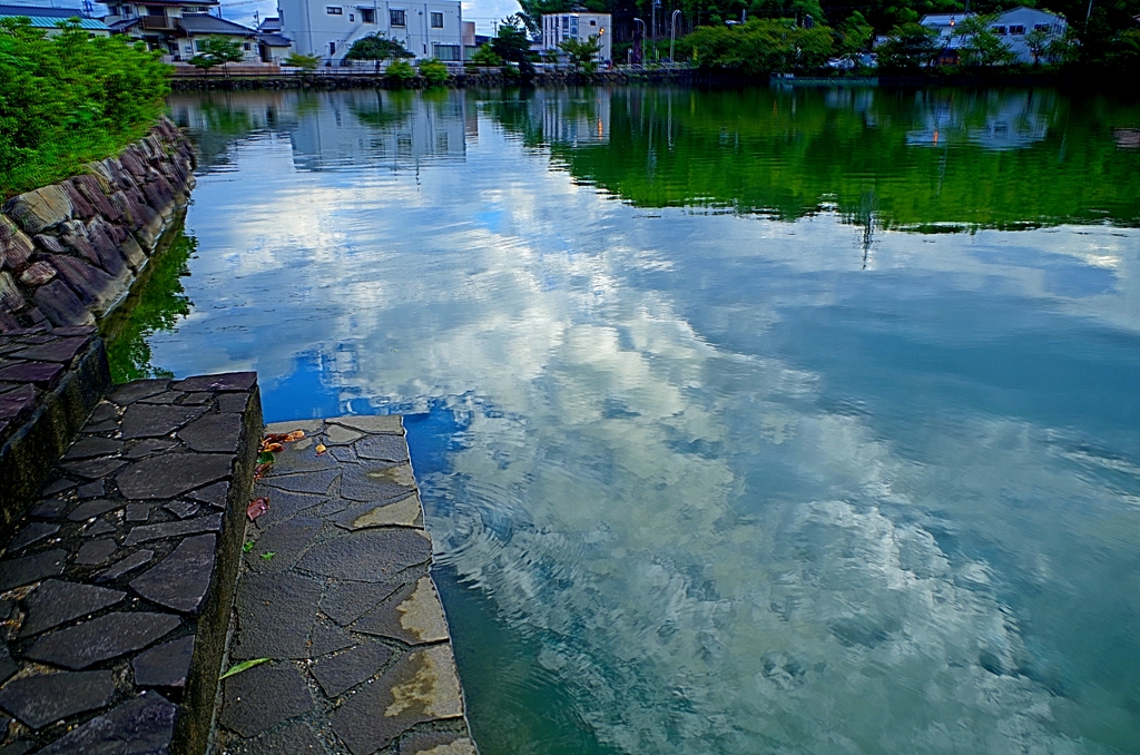 IMGP2153