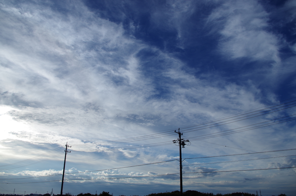 IMGP0440