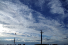 IMGP0440