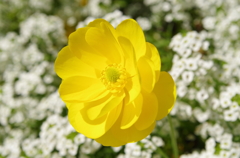 IMGP0925