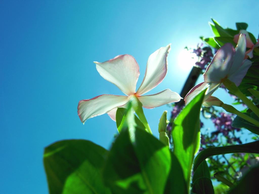 空へ