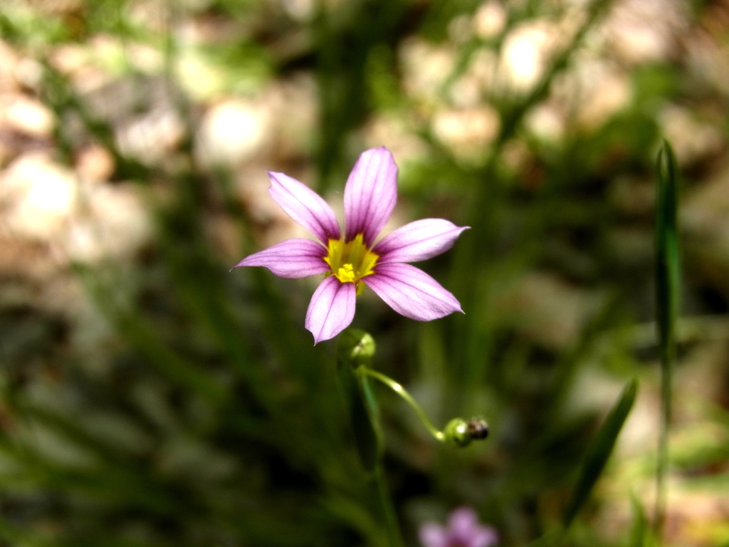 RIMG0085