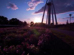 タワーと花