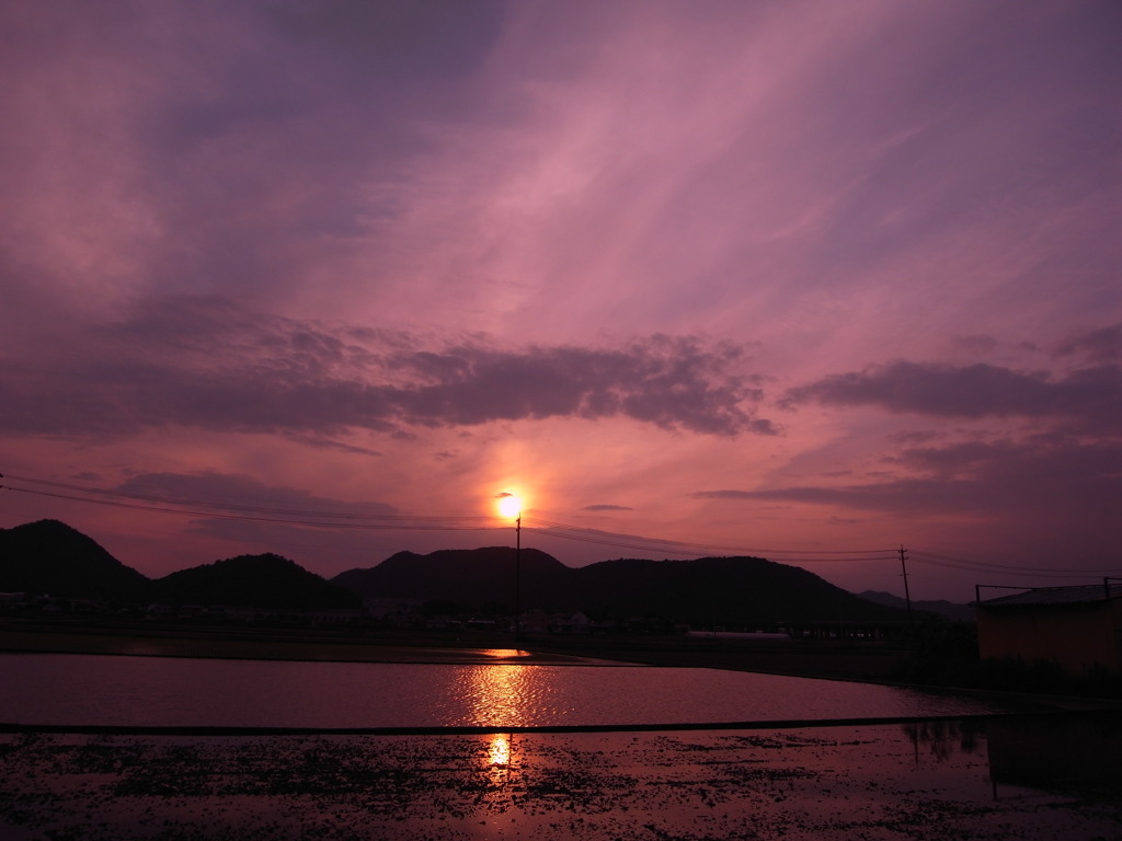 陽は沈む