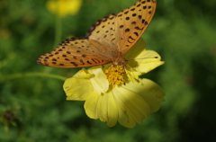 IMGP0759