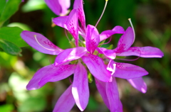 IMGP0773