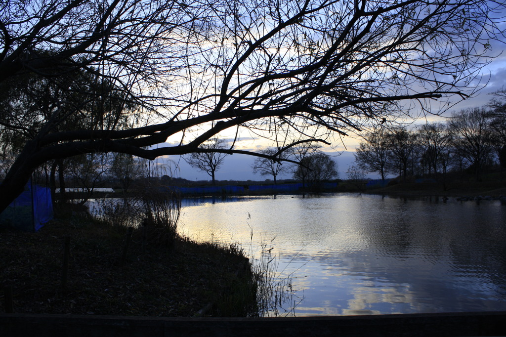 池に写る風景