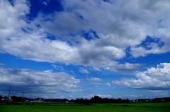 IMGP0225