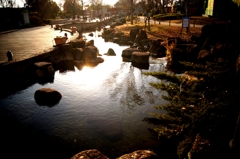 DSC01317