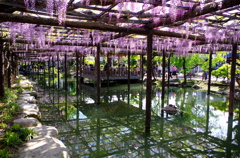 IMGP0907