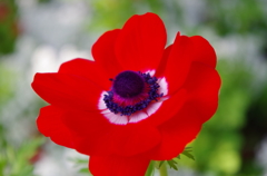 IMGP0929
