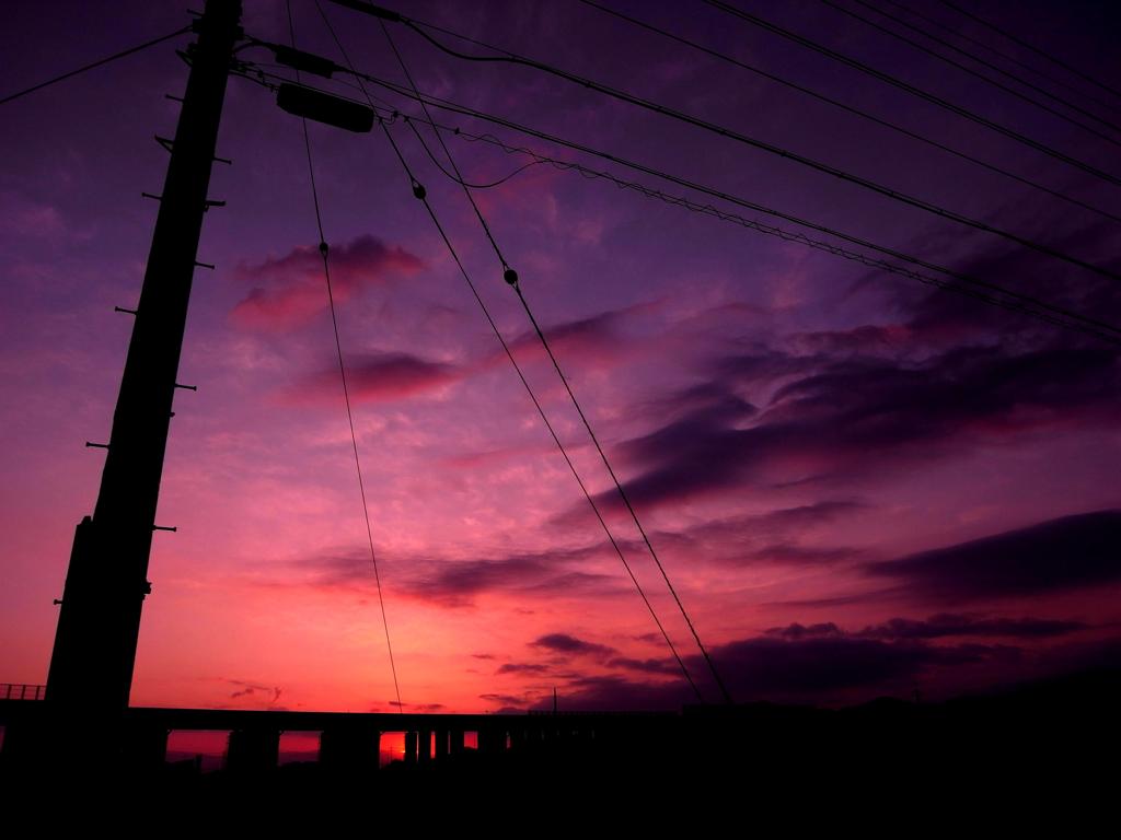 電柱