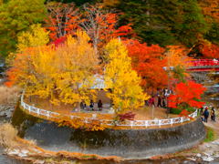 中野全景