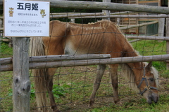 今はのんびり