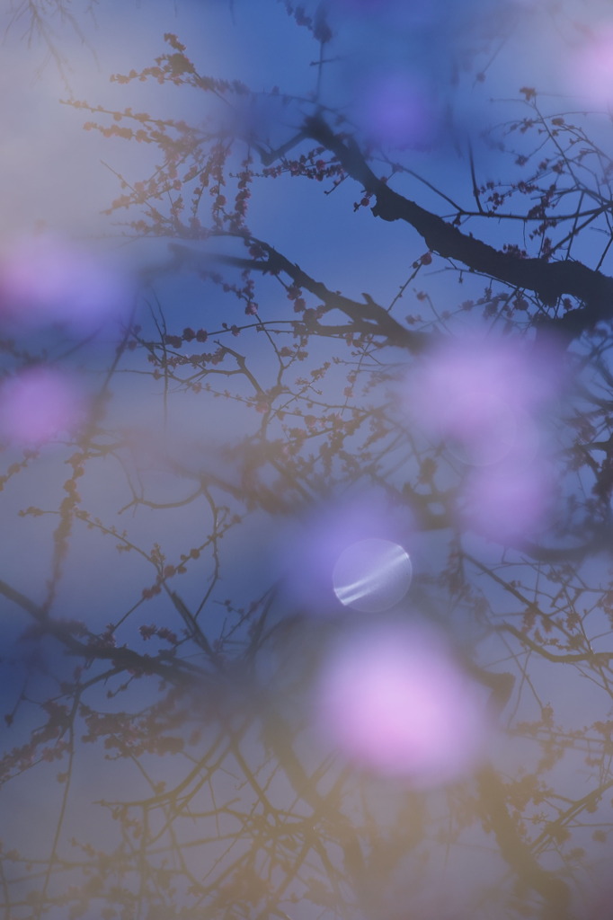 雨上がりの空