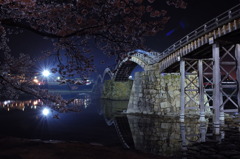 五橋の夜桜