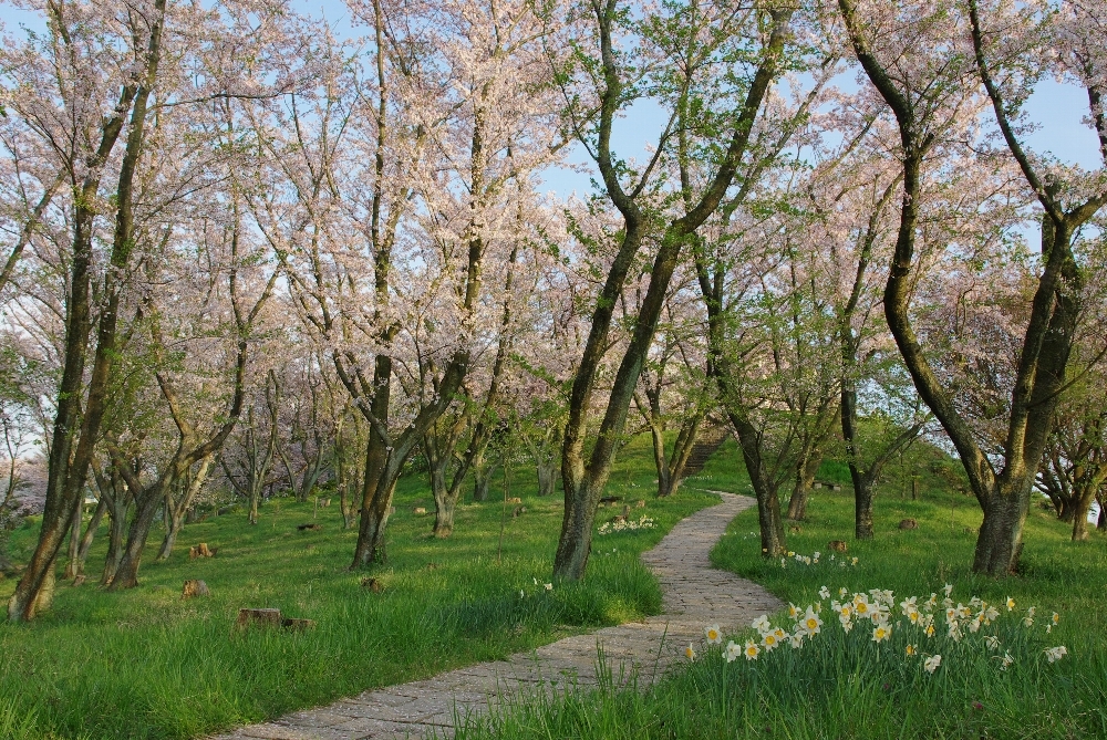 散歩道