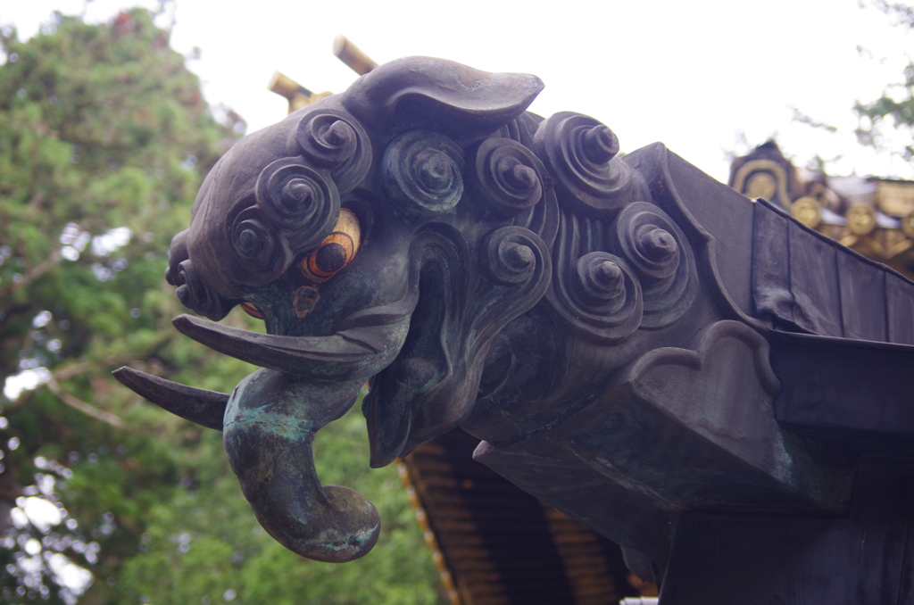 鼻