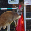 封鎖された！