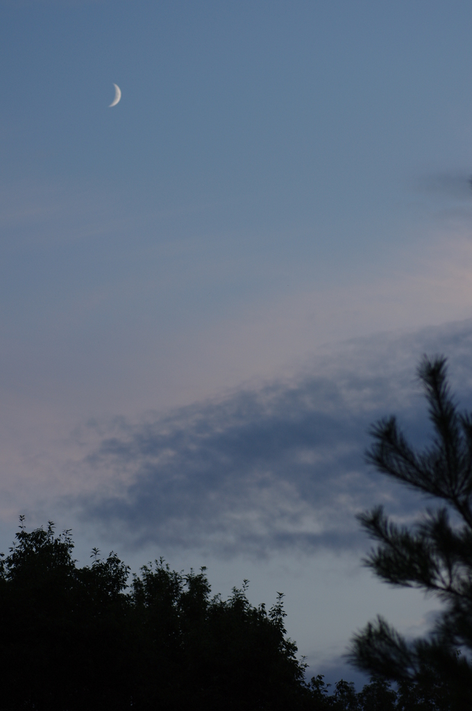 月　雲　松　