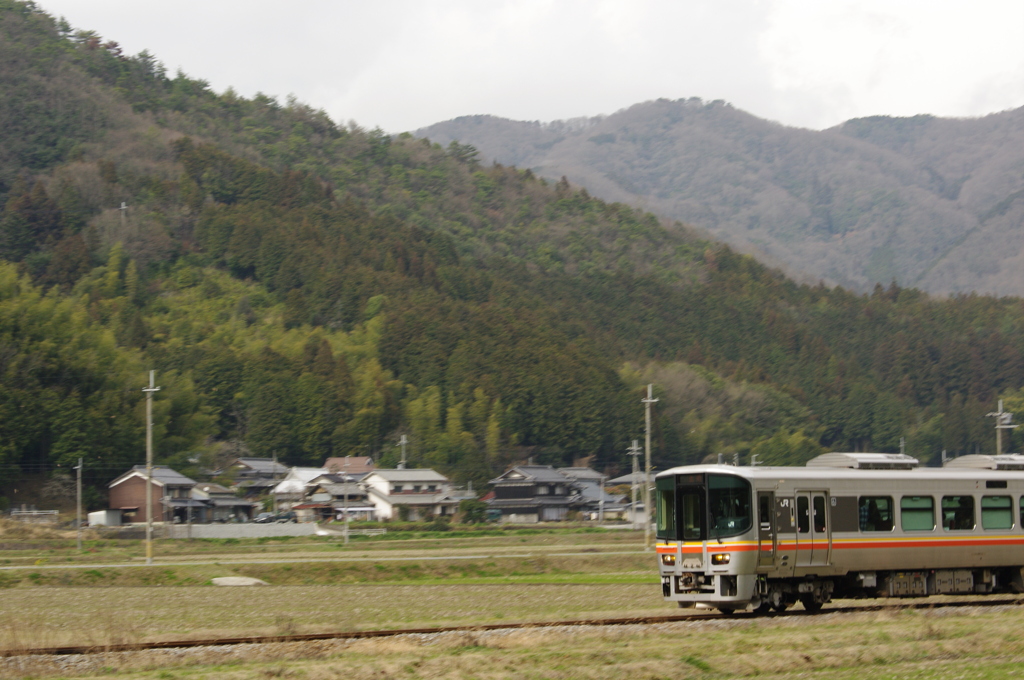 田の中を走る